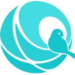 N软网 | 屹立在IT前沿